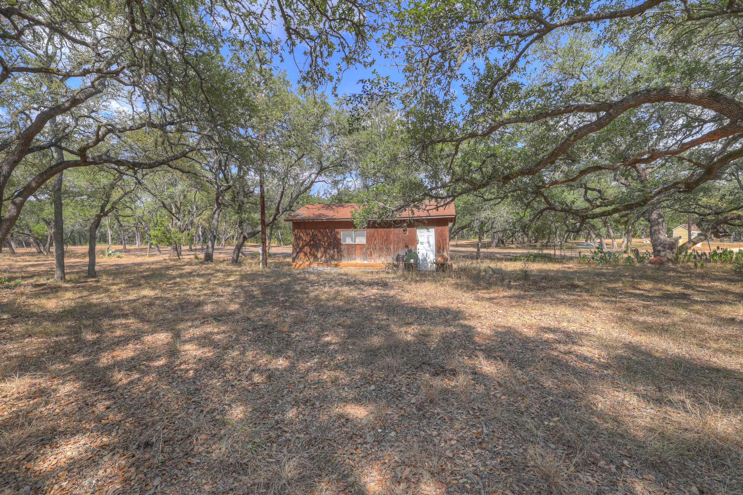 A small wooden shed with a red roof is surrounded by trees with green leaves. The ground is covered with dry leaves and grass. Shadows of tree branches are cast on the ground.