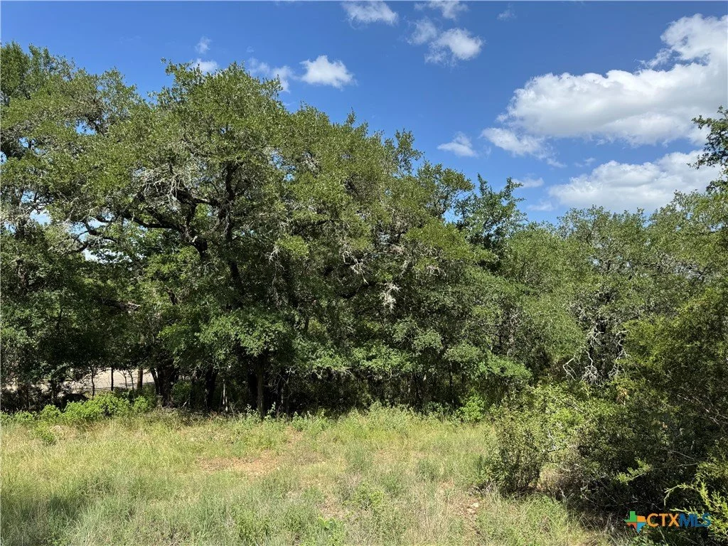 A grassy field with tall, green trees under a bright blue sky with scattered white clouds.