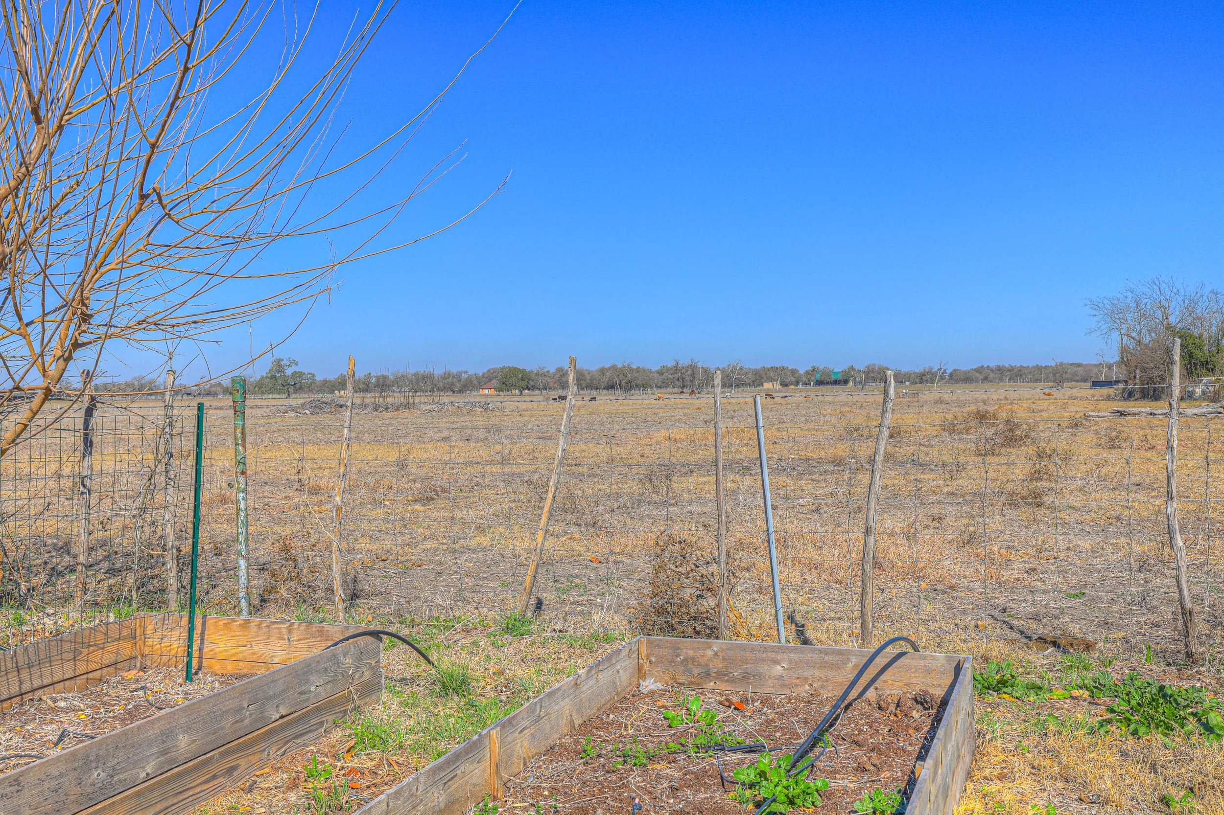 A dry, fenced field with sparse vegetation and a clear blue sky in the background.