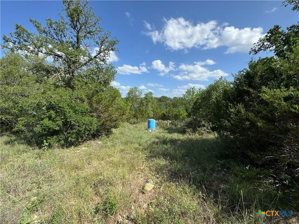 A grassy trail lined with trees on both sides under a partly cloudy sky, with a blue barrel visible in the distance.