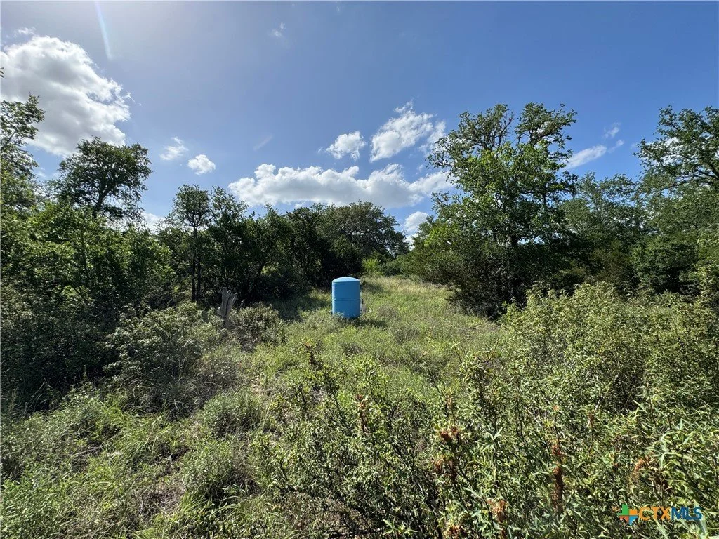 A blue portable toilet in a grassy, wooded area with trees and bushes, under a partly cloudy sky.