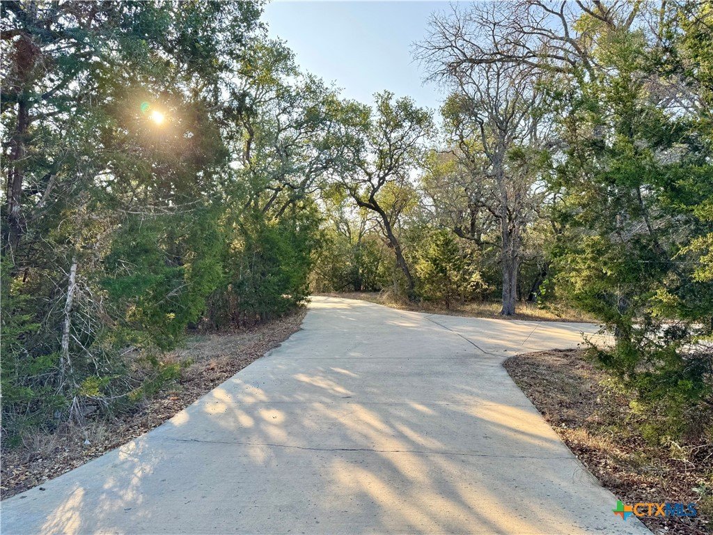 A concrete pathway winding through a wooded area with trees on both sides, sunlight shining through the leaves.