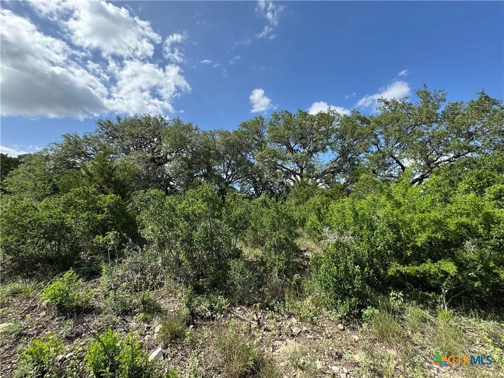 A natural landscape with green bushes and tall trees under a partly cloudy blue sky.