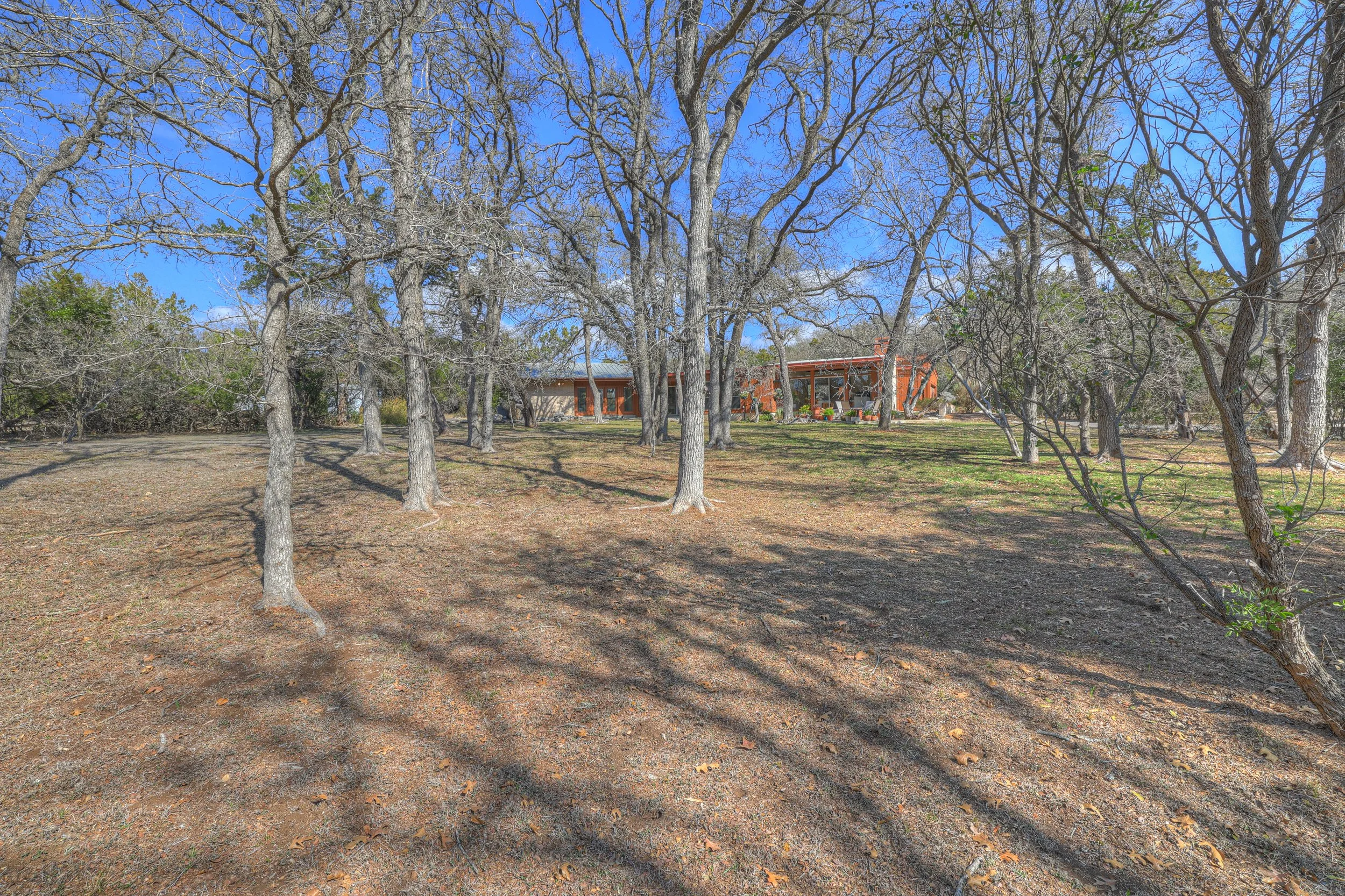 A house in the distance surrounded by leafless trees on a clear, sunny day, with shadows cast on the ground.