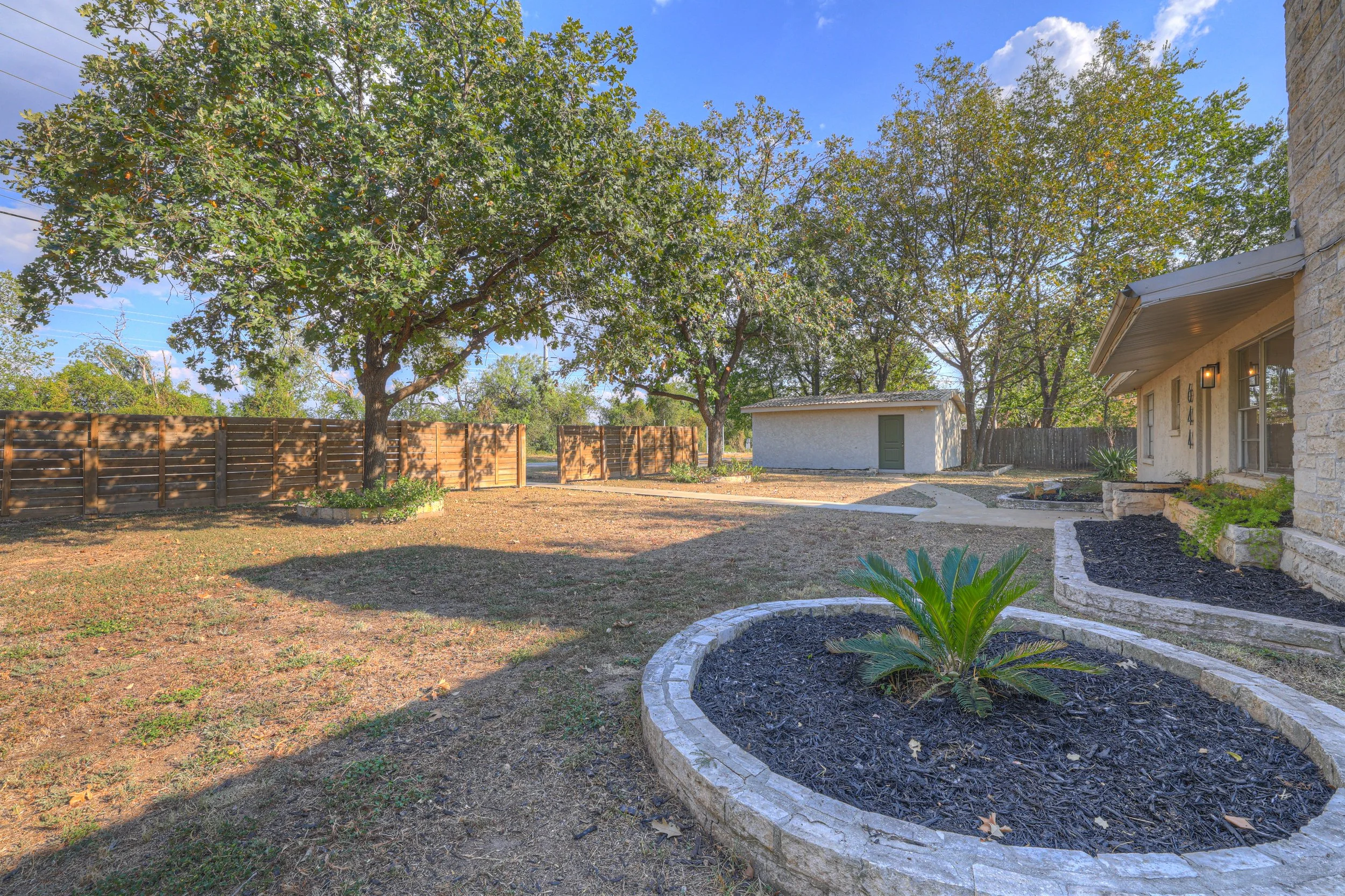 View of a backyard with a large tree, a small garden bed with a fern, a house on the right, and a white shed in the background. There is a wooden fence and a paved walkway.