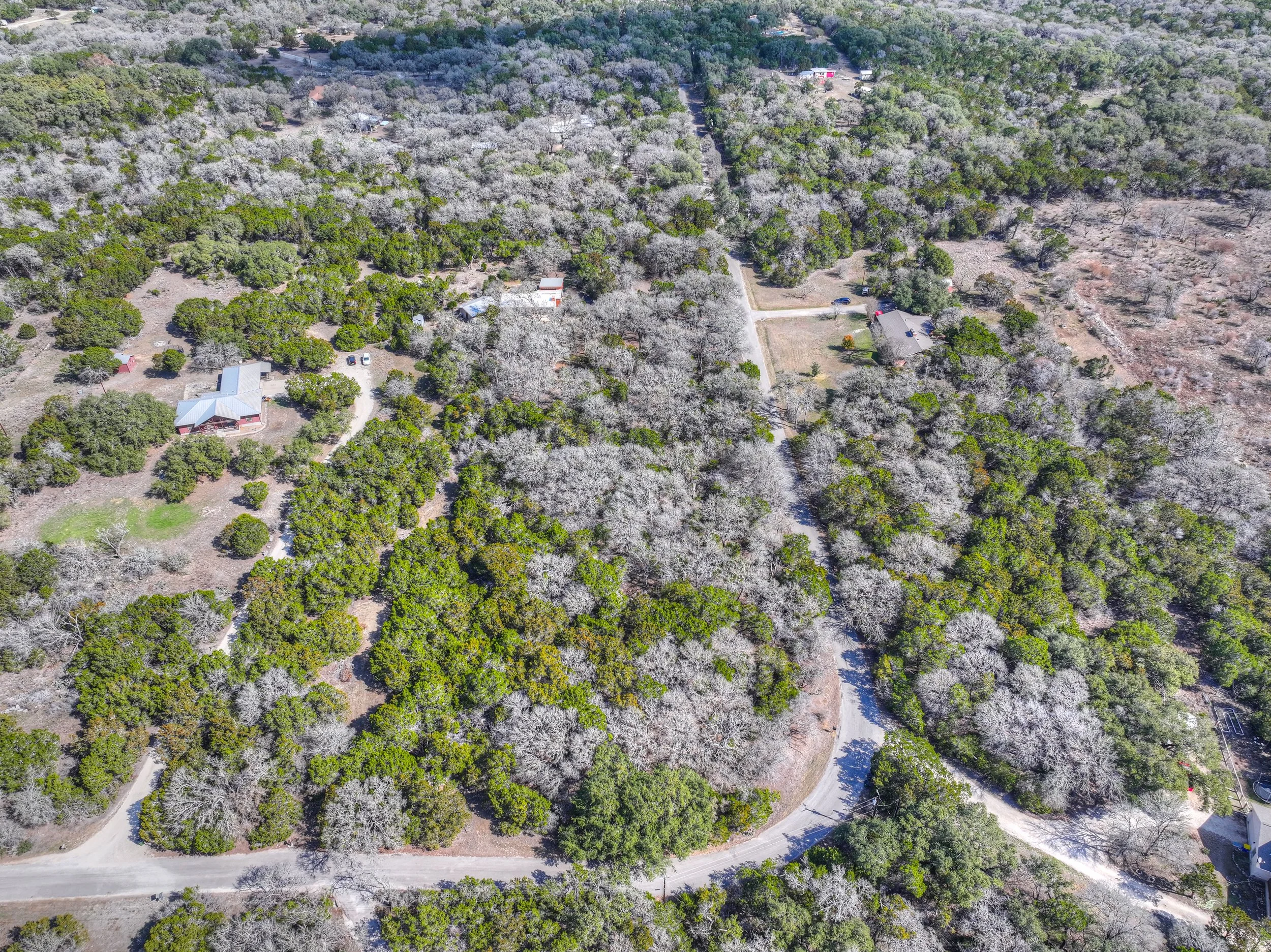 Aerial view of a wooded residential area with winding roads, houses, and cars surrounded by trees, some with bare branches.