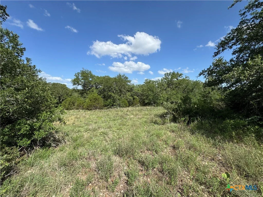 Open grassy field bordered by trees under a blue sky with scattered white clouds.