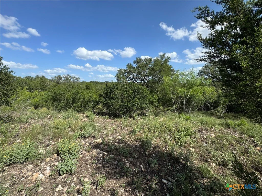 A clear blue sky with scattered white clouds over a wooded area with various green shrubs and trees, and rocky ground.