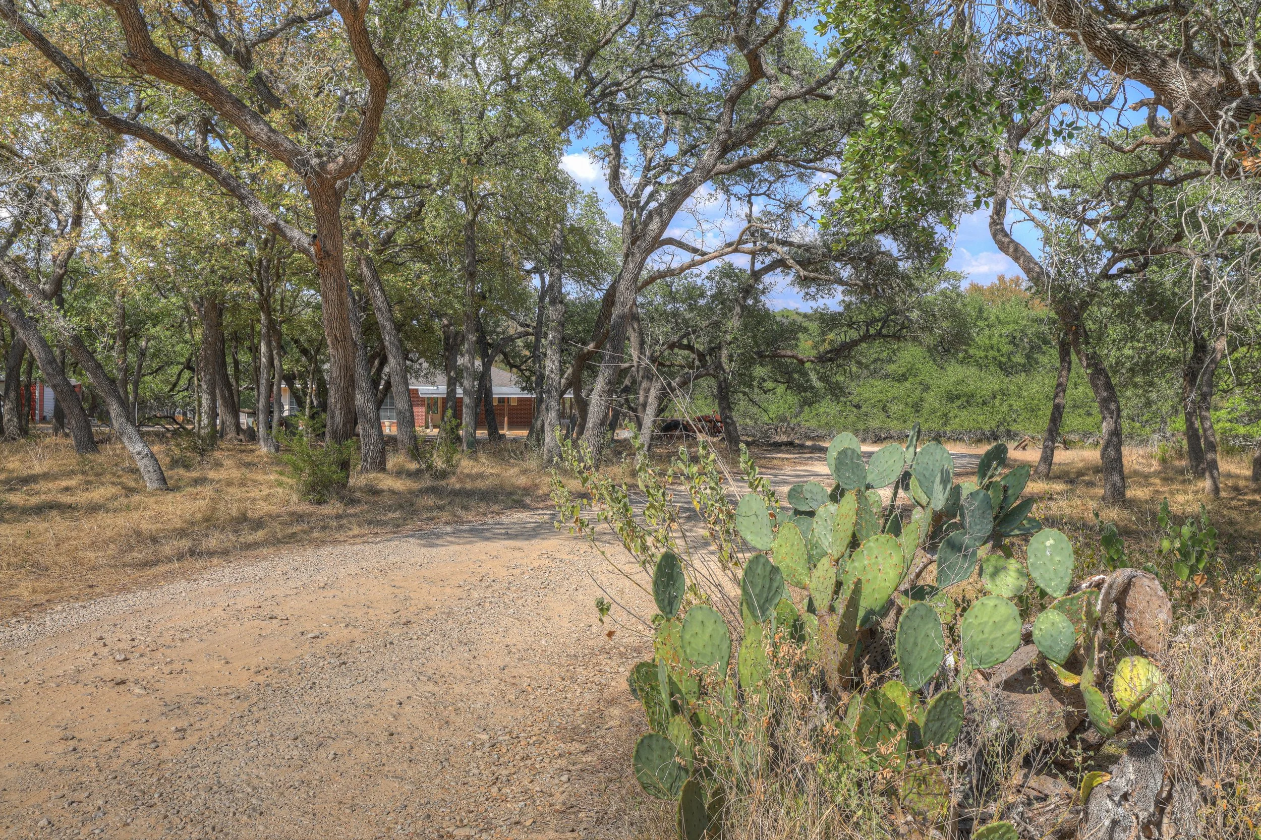 A dirt path in a desert landscape with various trees and cacti, and a building with a porch in the background under a partly cloudy sky.