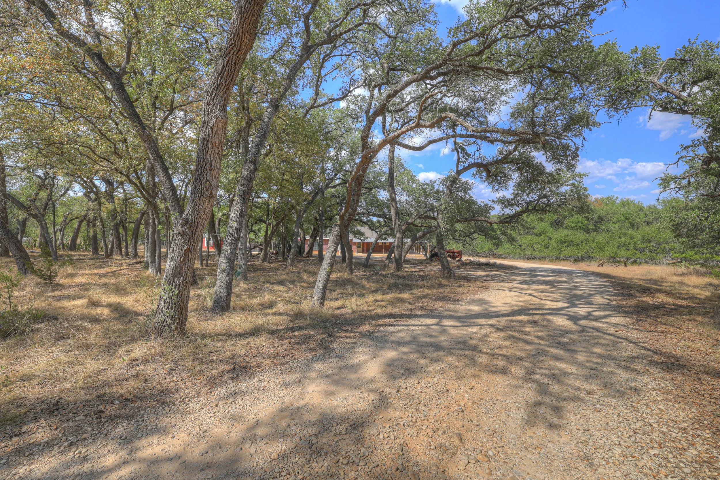 Dirt and gravel path through a wooded area with green trees and a few buildings in the background, under a partly cloudy blue sky.