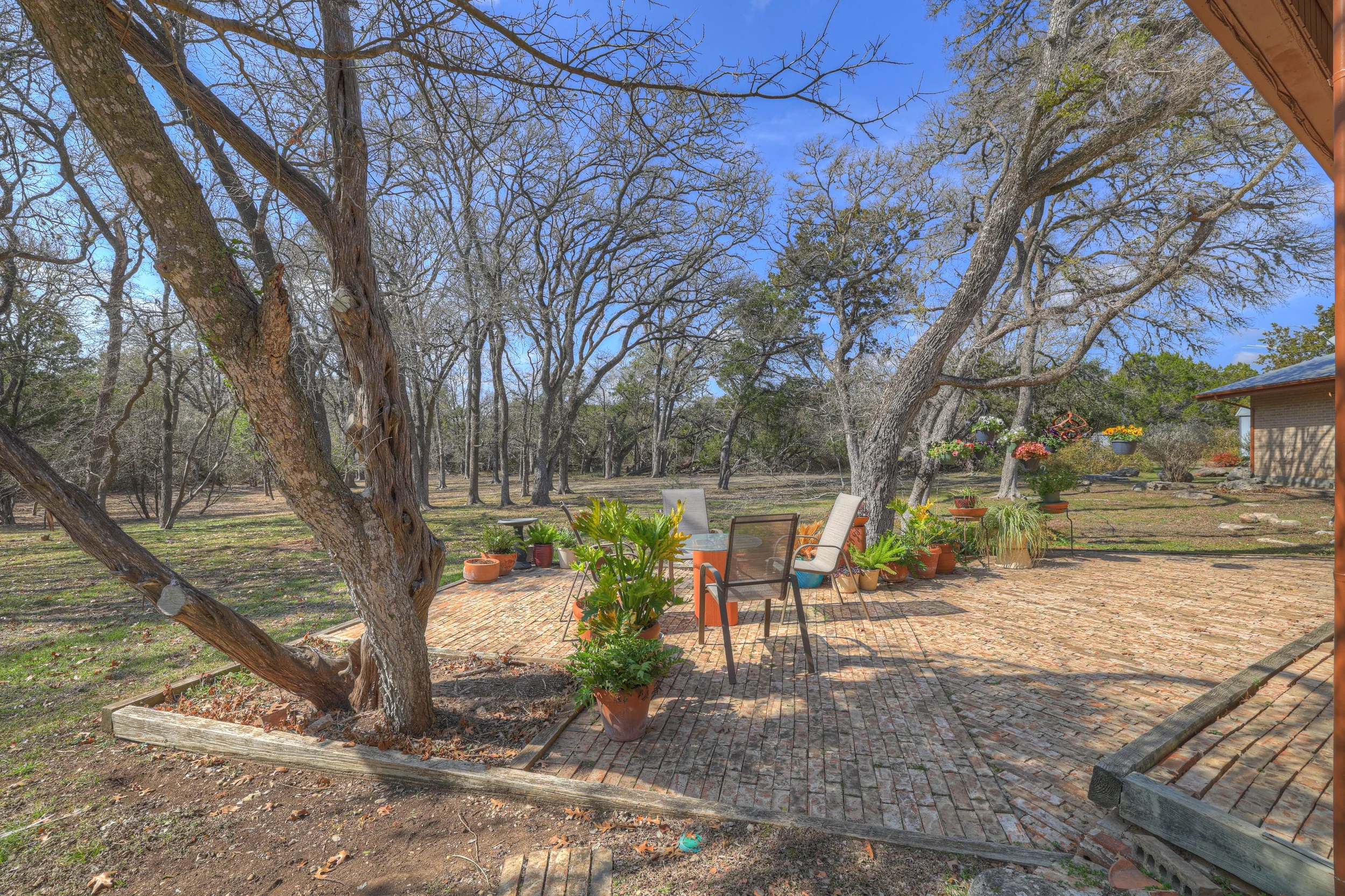 Outdoor backyard patio with potted plants, chairs, and trees, under a blue sky.