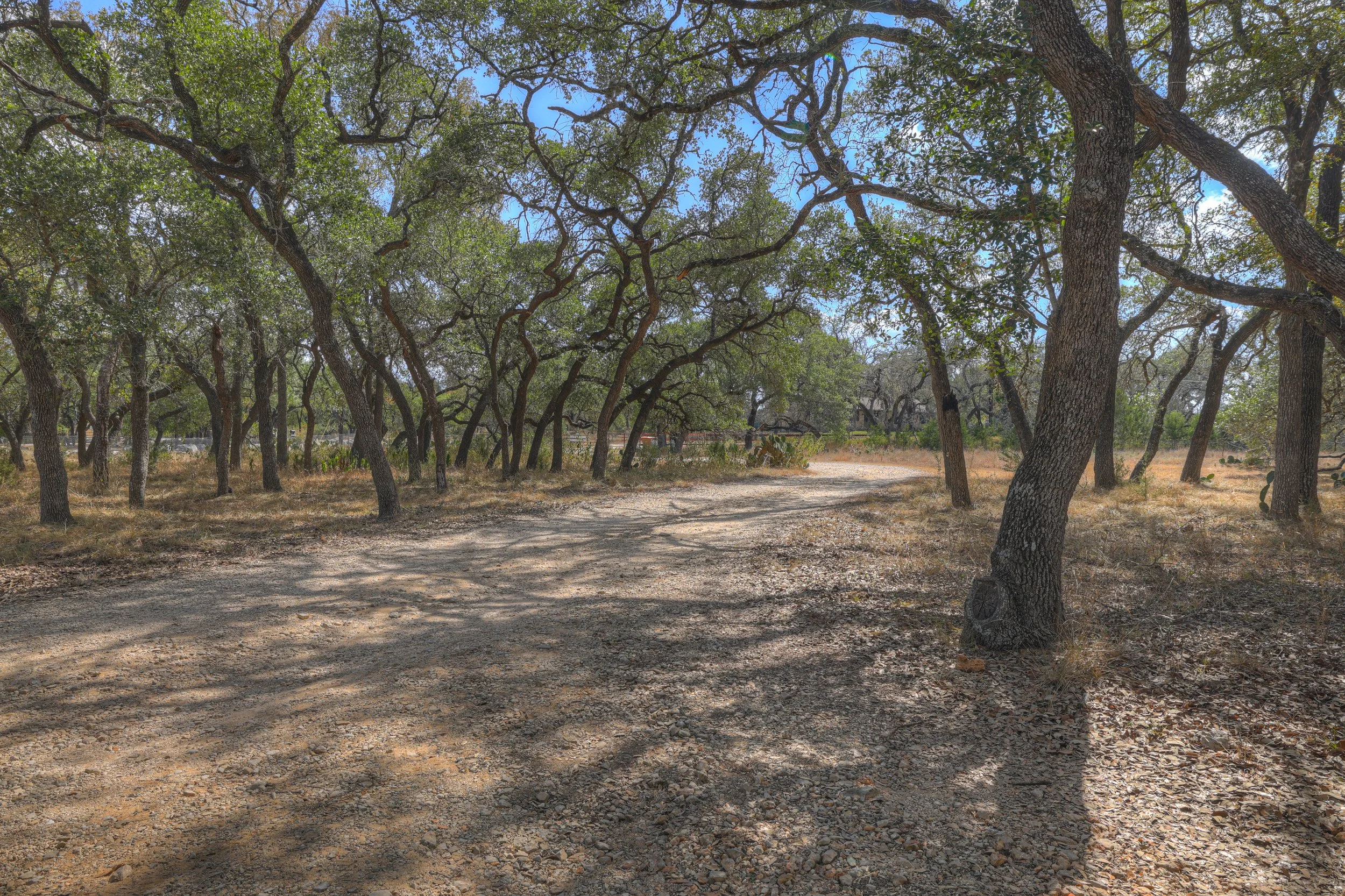 A dirt trail winding through a wooded area with green trees and blue sky visible through the branches.
