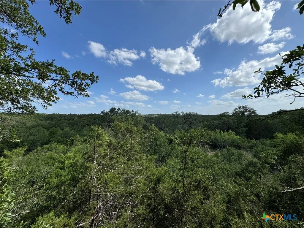 A scenic view of a lush green forest under a bright blue sky with scattered white clouds.