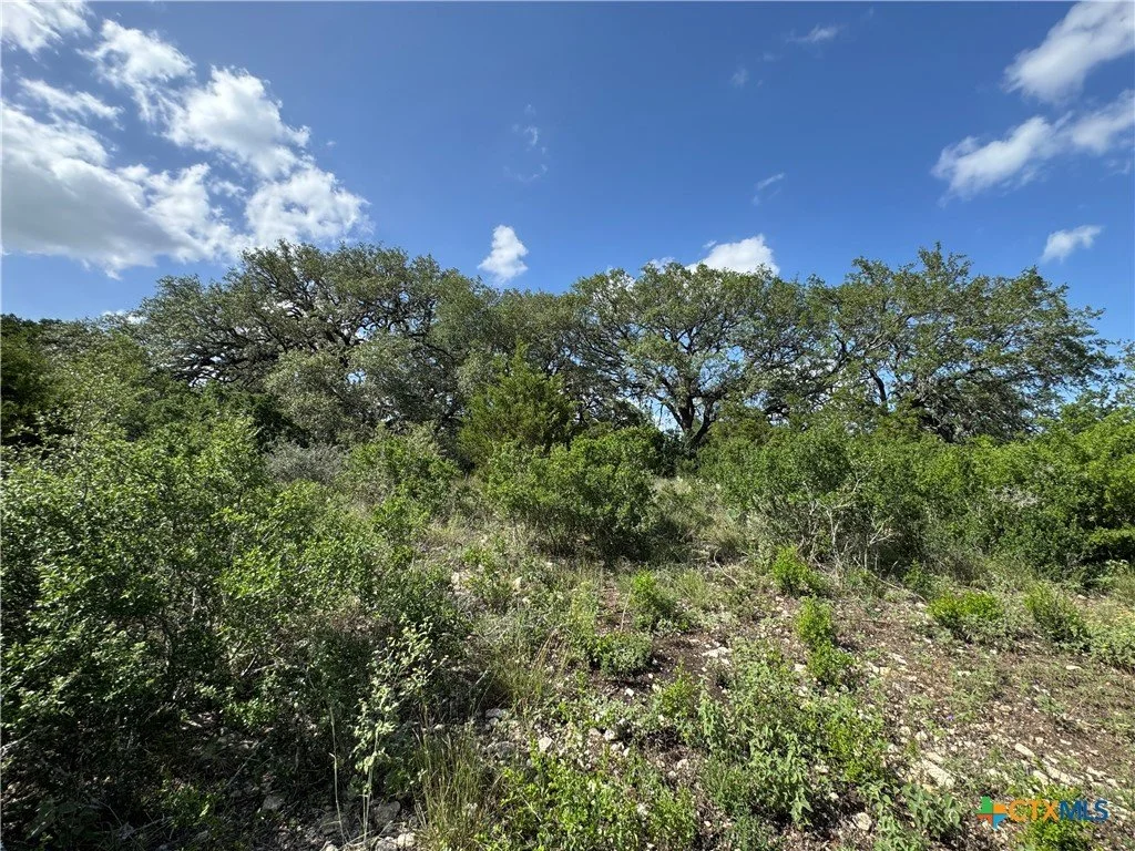 A hillside with green shrubbery and a few large trees under a bright blue sky with some white clouds.