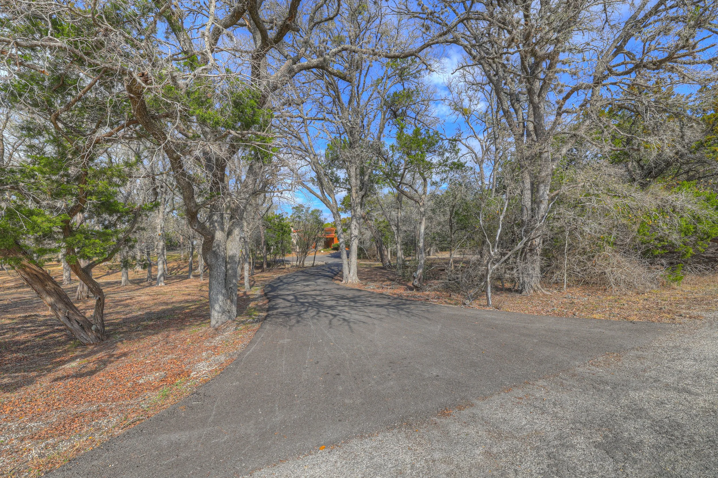 A winding asphalt road through leafless trees on a bright, partly cloudy day.