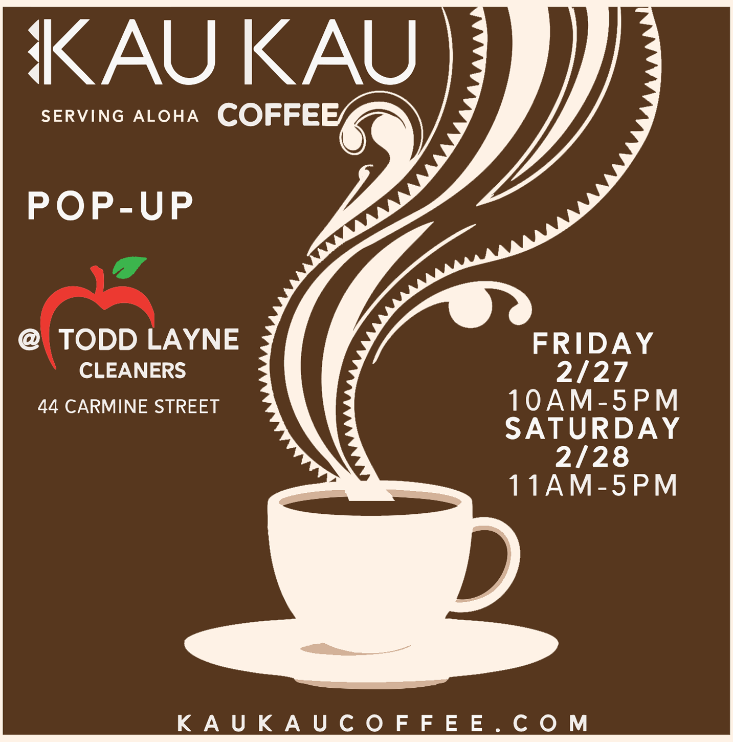 TODD LAYNE DRY CLEANER