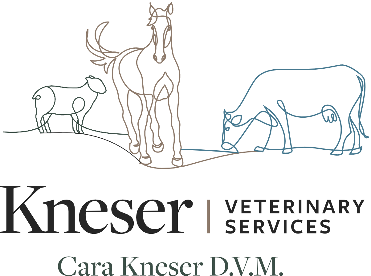 Kneser Veterinary Services