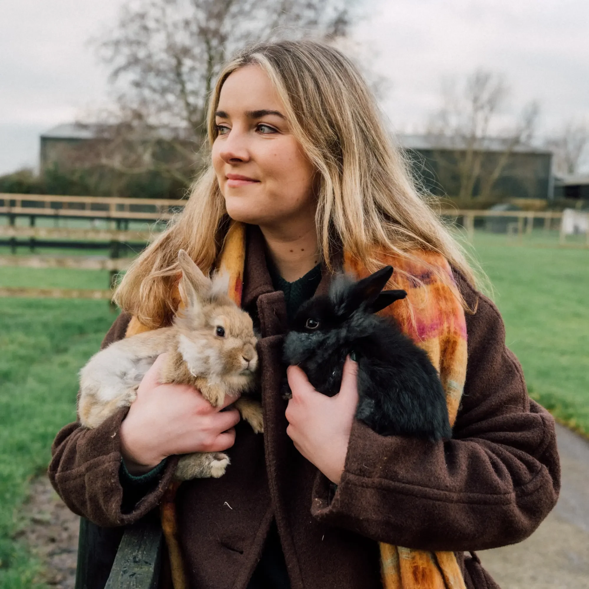 30/365 - Steacy O’Donohoe - Kia Ora Mini Farm, Wexford