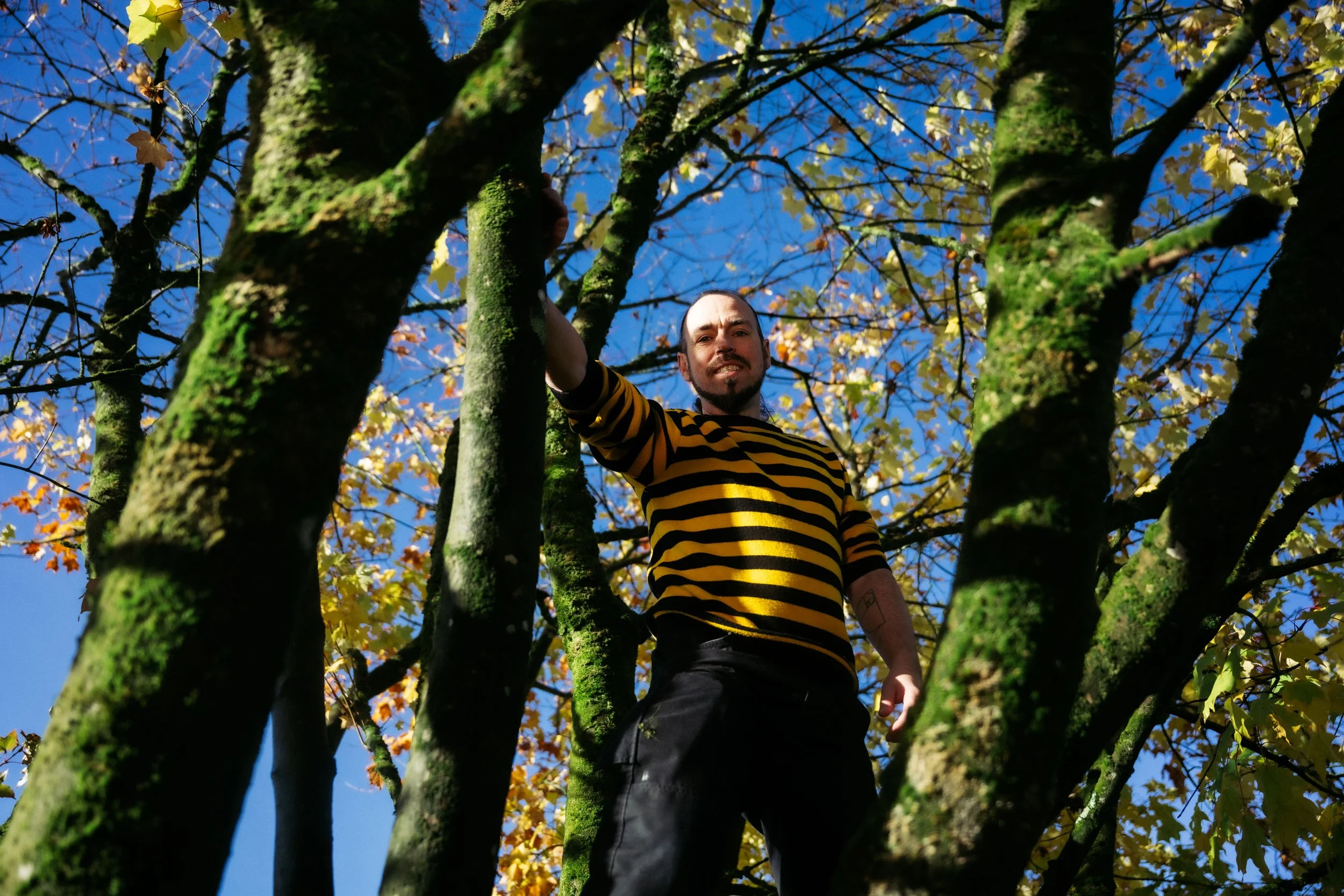 292/365: Wes Pollington, Roscommon