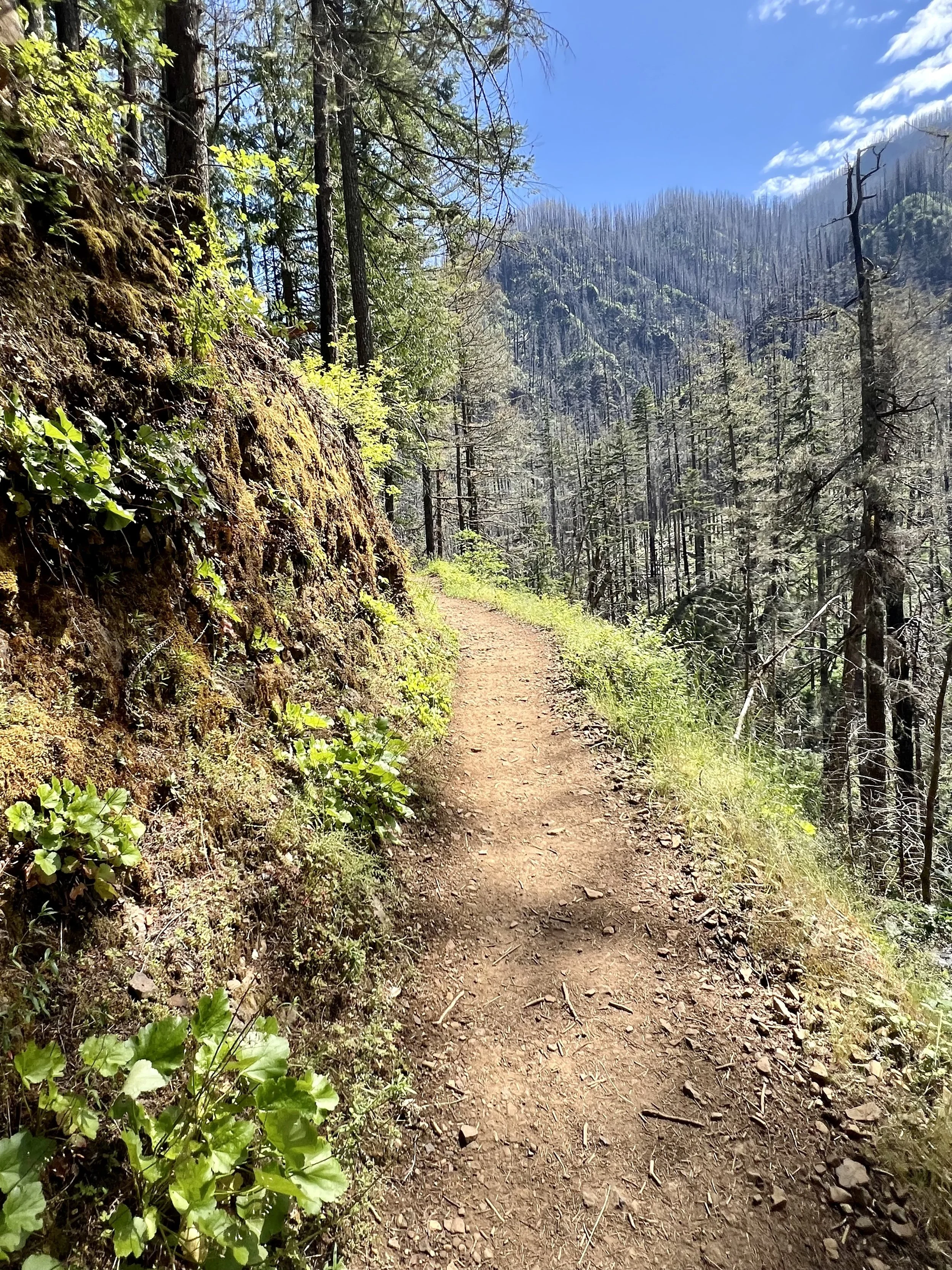 Stuck on the Treadmill? How to Hop Off Without Face-Planting into Your Own Bad Habits