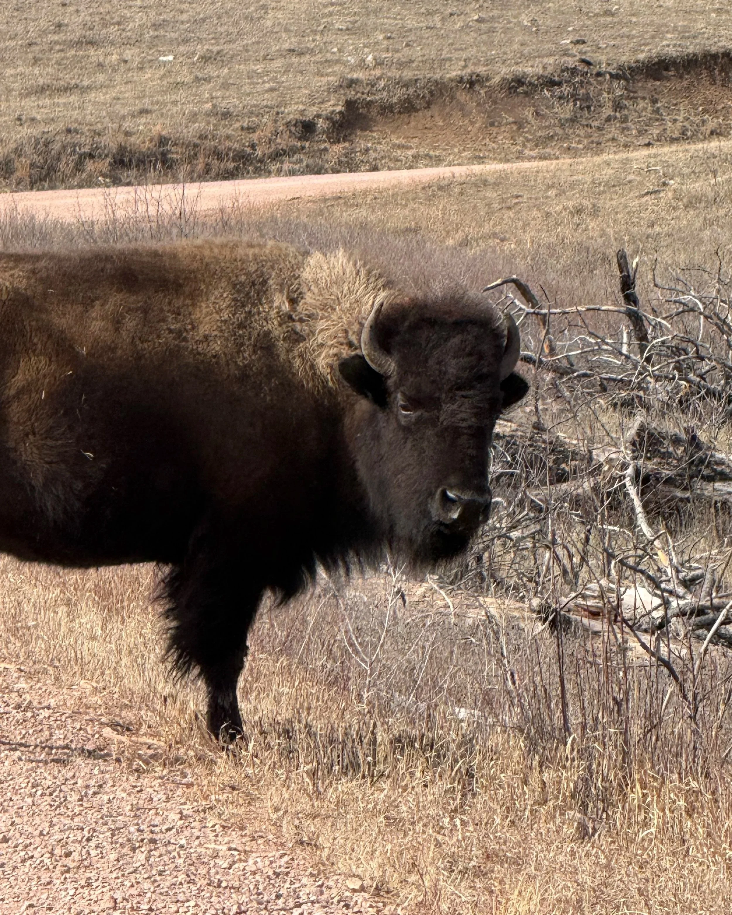 The Perils of Pop Psychology: When “Gaslighting” Loses Its Meaning
