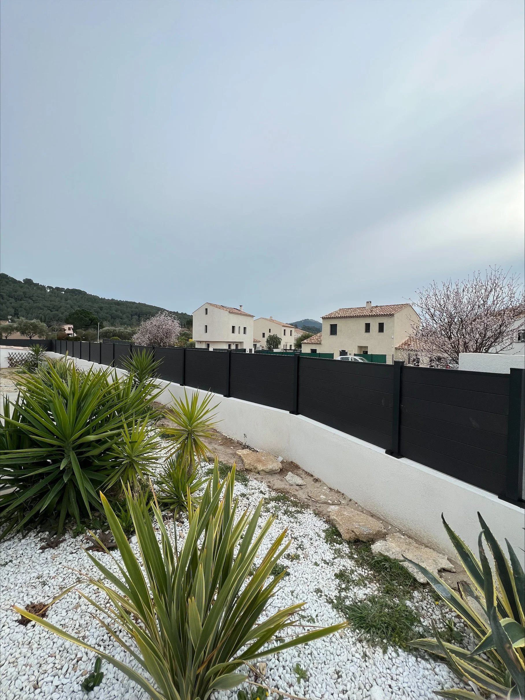Jardin avec des plantes épaisses et pointues, un mur blanc, clôture noire, maisons blanches et arbres en fleurs au fond, ciel nuageux.