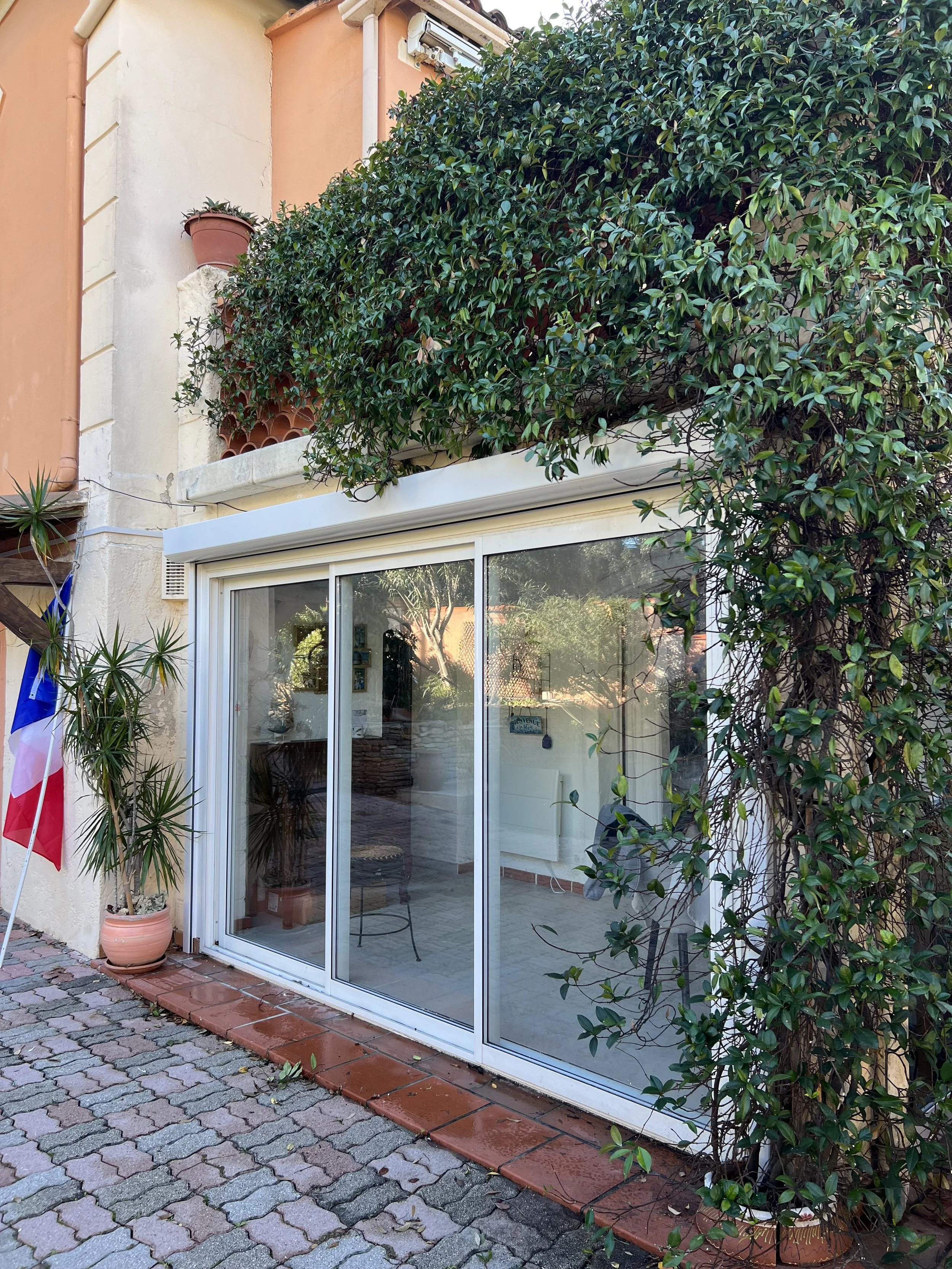 Une porte-fenêtre en verre blanc avec une végétation luxuriante autour, dont une grande plante en pot à gauche et une vigne grimpante sur la droite, dans une ambiance de maison en extérieur.