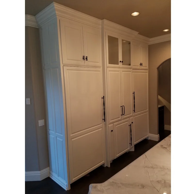 Painted cabinets with paneled appliances