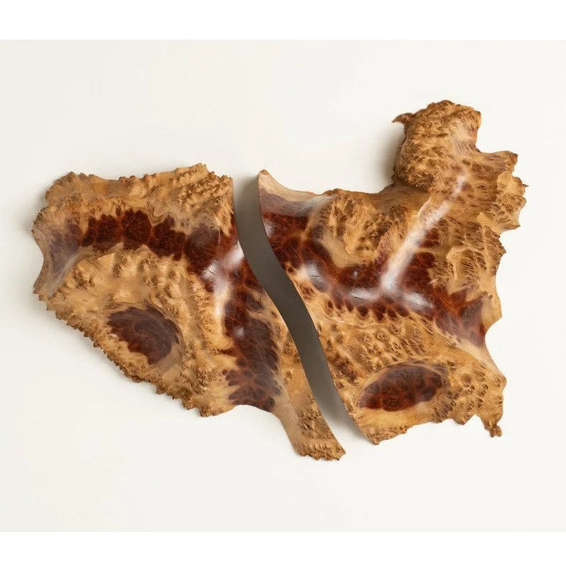 jarrett-maxwell-mallee-burl3.jpg