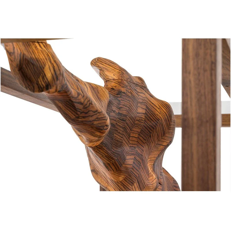 Close-up of a wooden sculpture with a smooth, flowing, abstract shape, mounted inside a wooden frame.