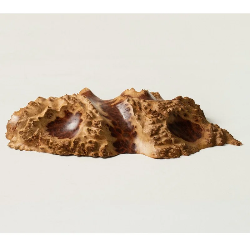 jarrett-maxwell-mallee-burl5.jpg