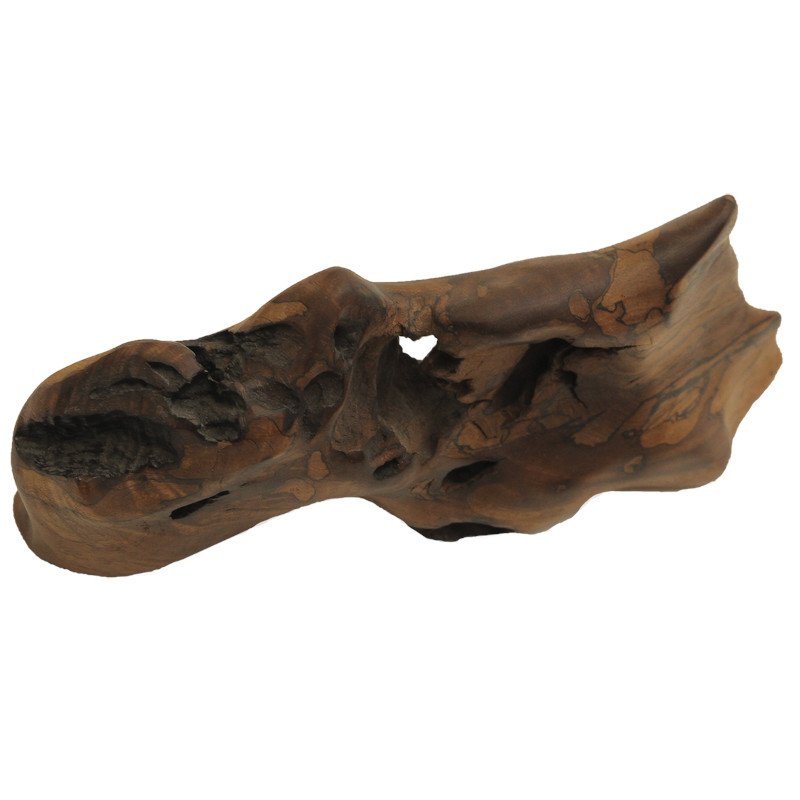 A polished piece of wood with natural patterns and holes.