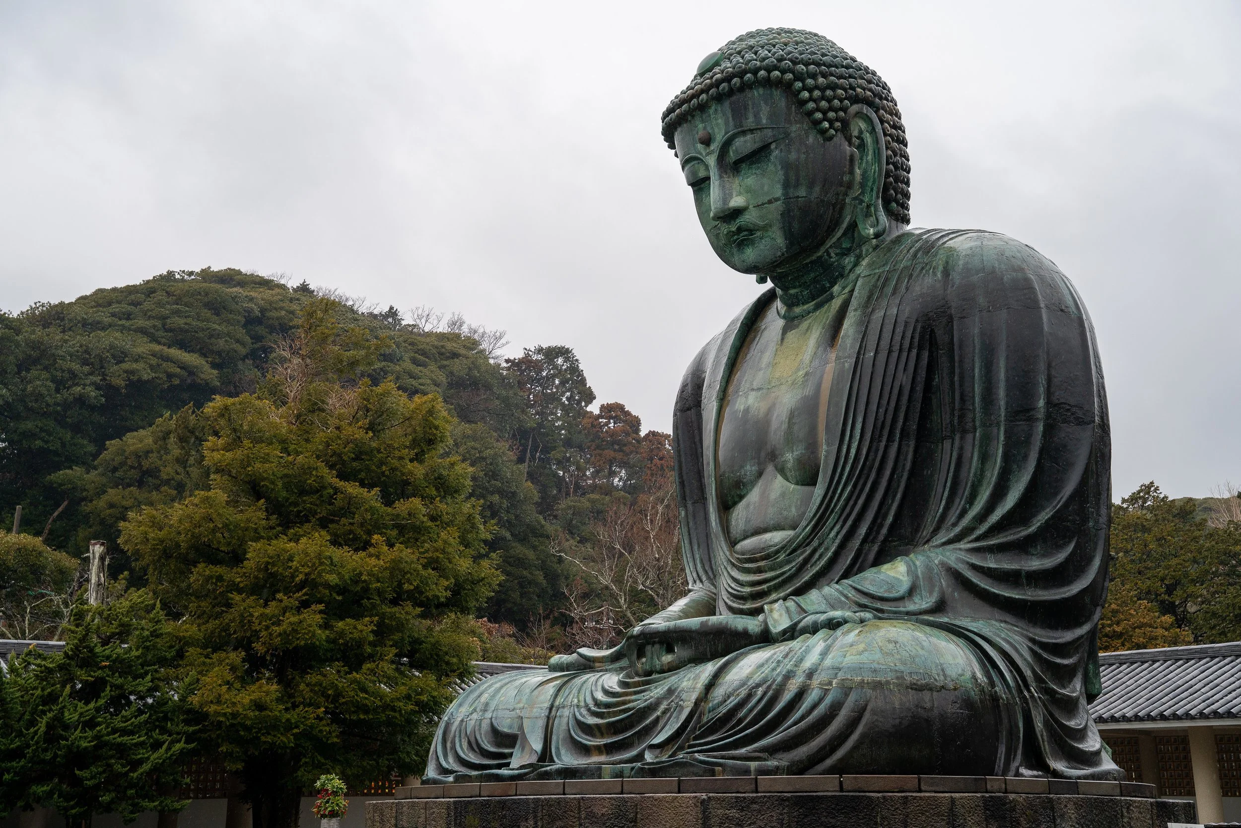 buddha+ssp(1).jpg