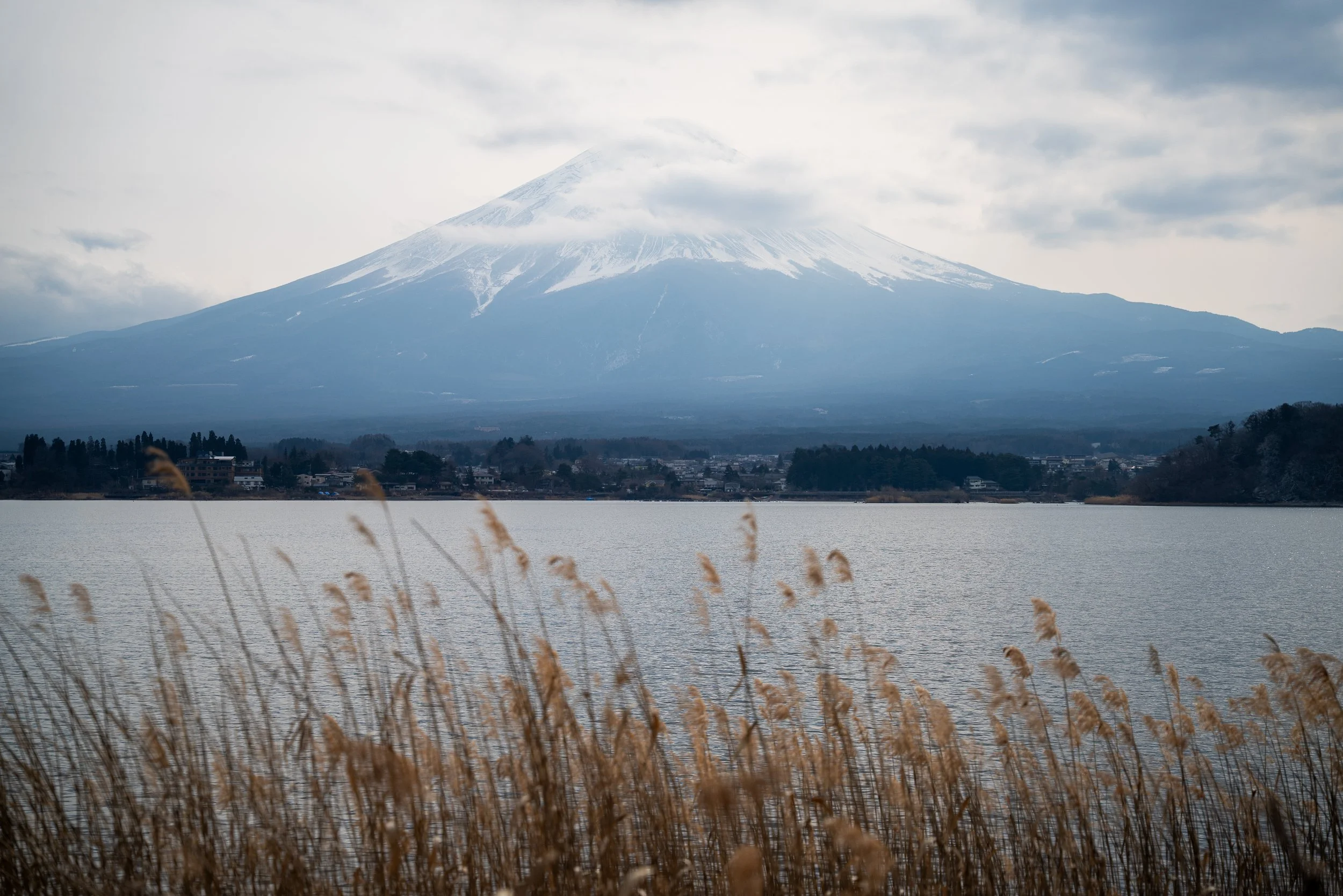 fuji+wide+ssp(1).jpg