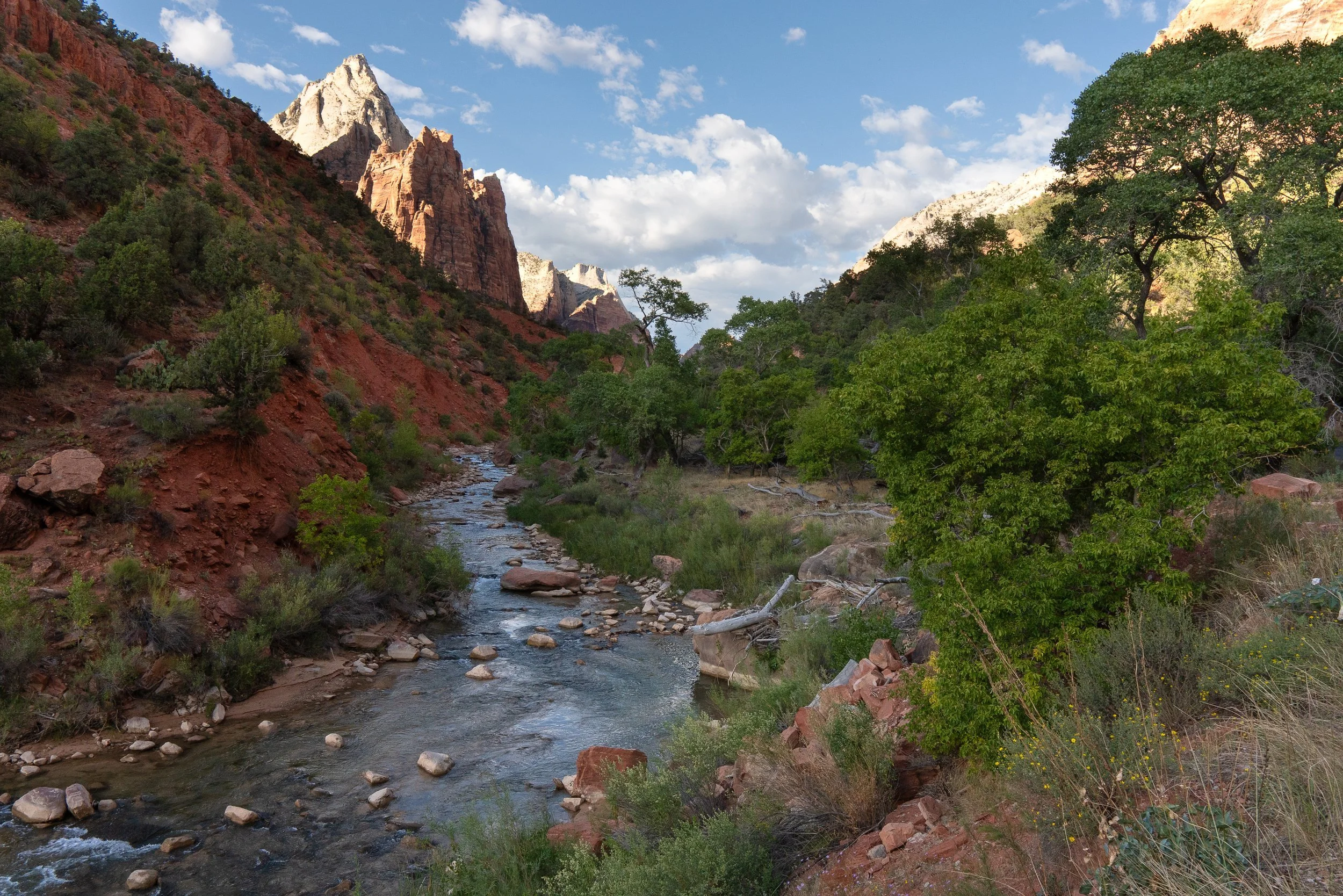 zion+canyon+hor+ssp(1).jpg