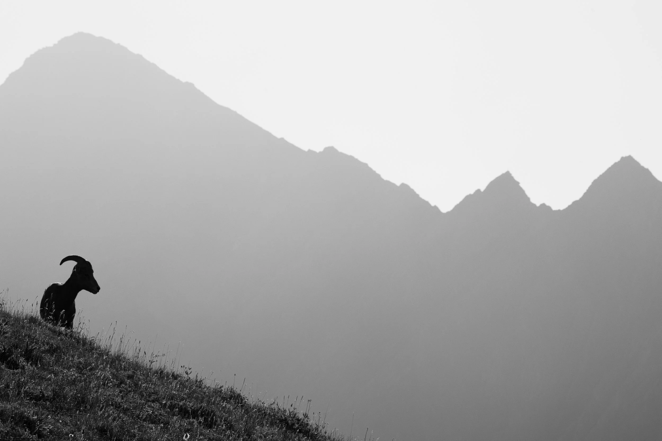 smoke+silhouette+Sspace(1).jpg