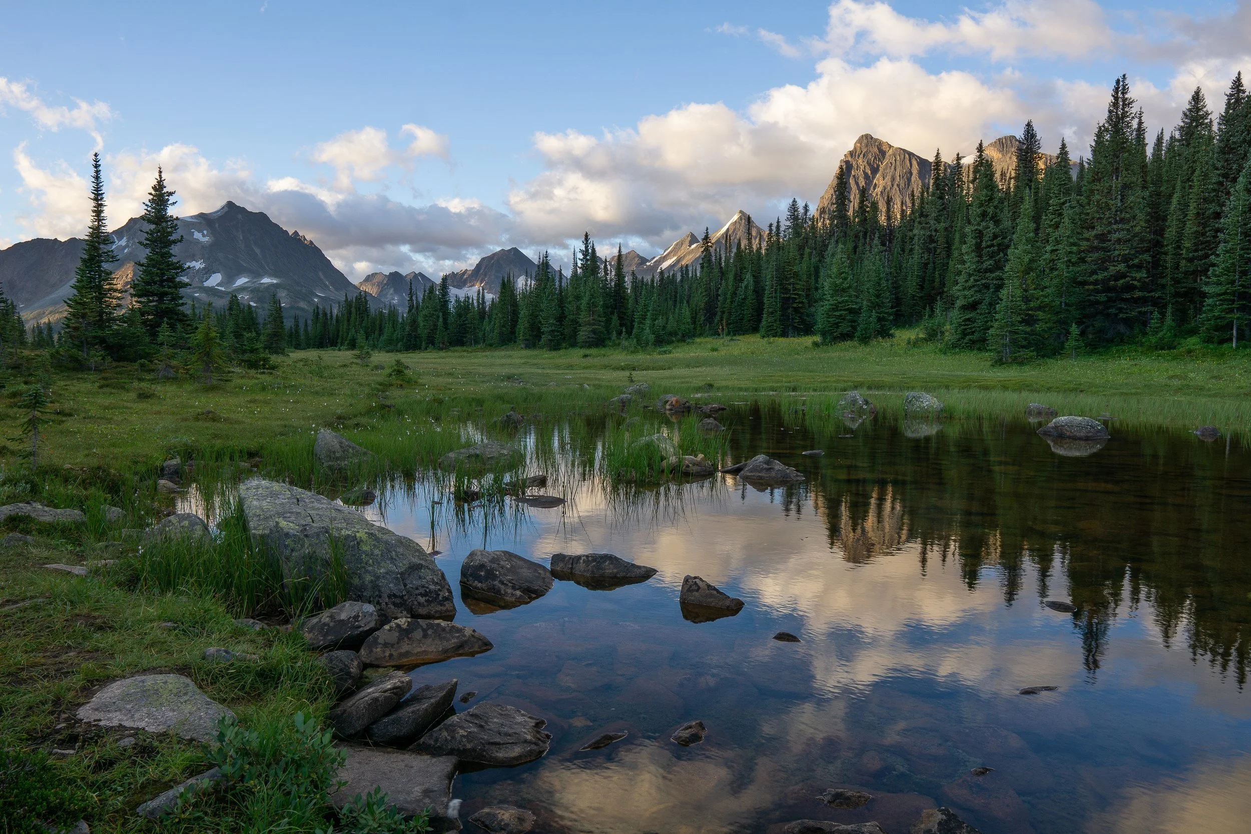 tonquin+360+ssp(1).jpg
