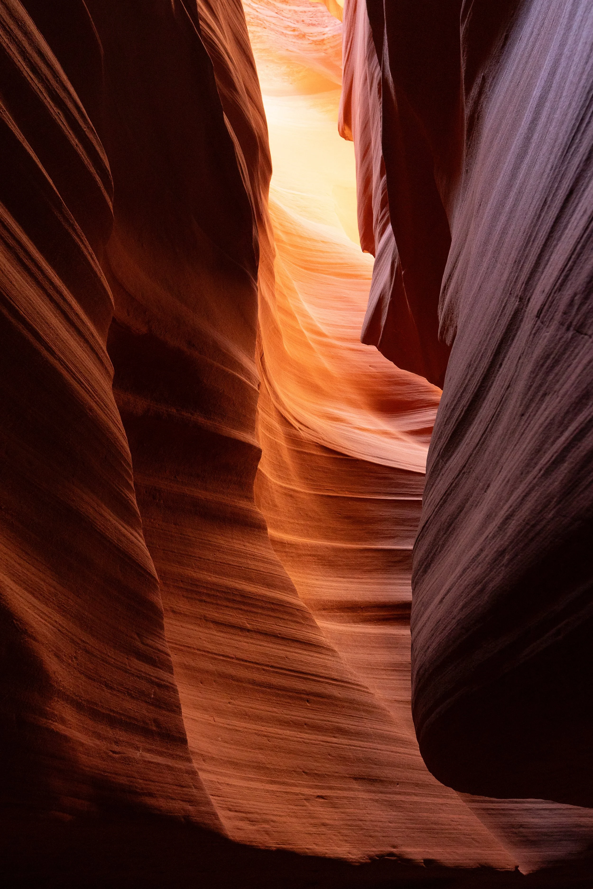 antelope7+ssp(1).jpg