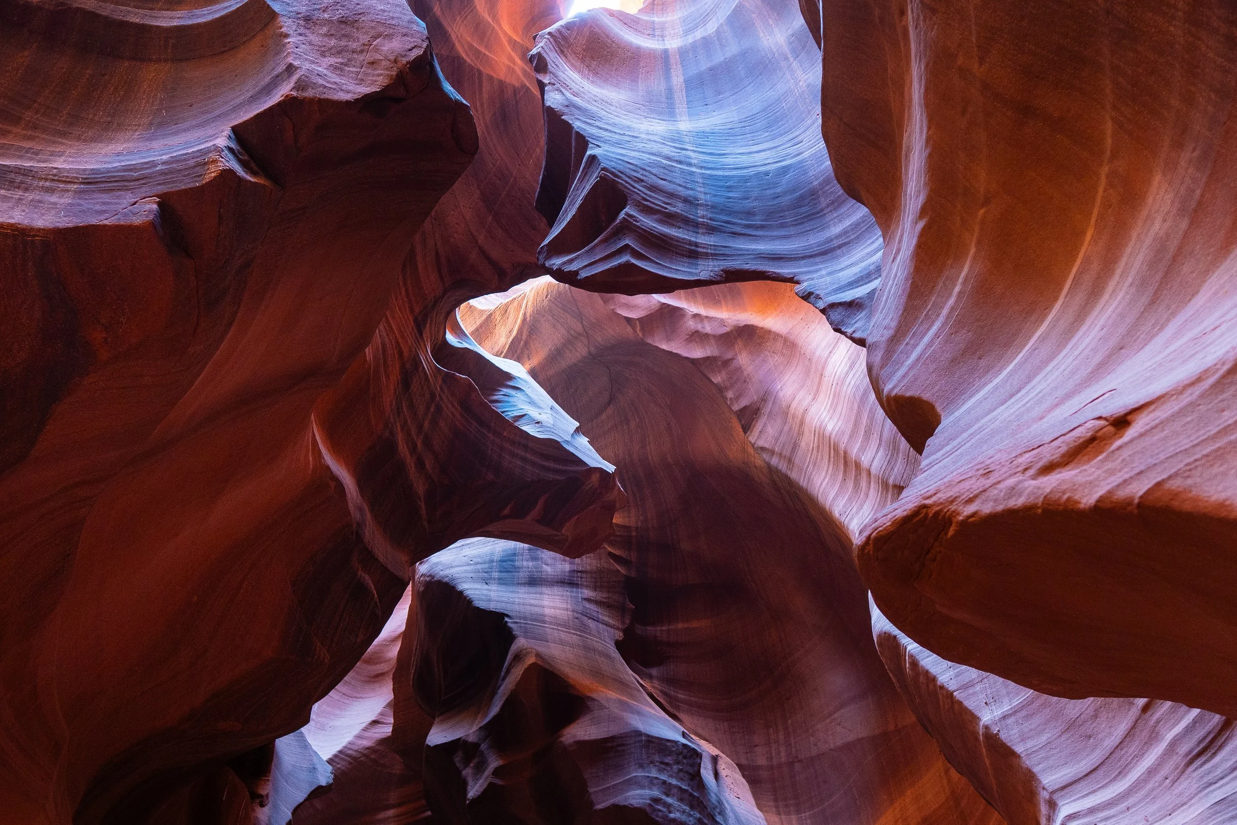 antelope6+ssp(1).jpg
