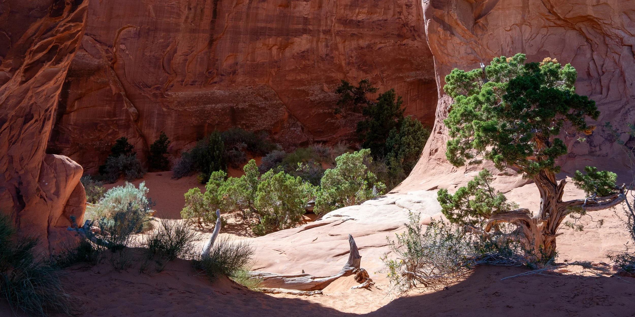 wide+arch2+ssp.jpg