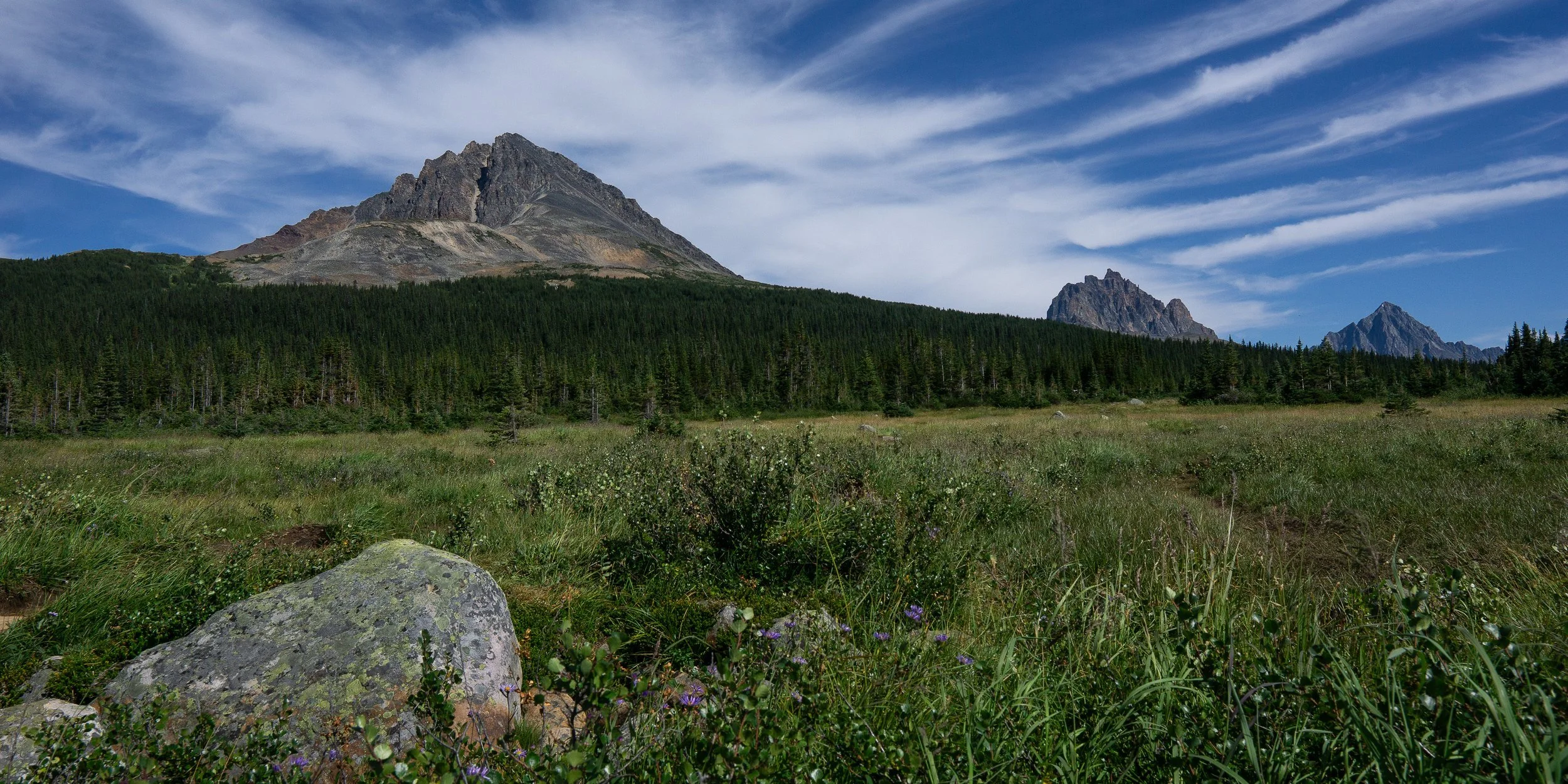 tonquin+stripe+ssp(1).jpg
