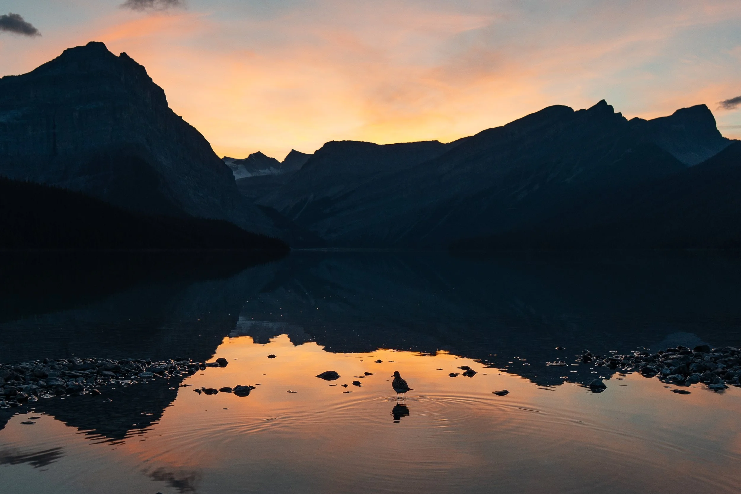sandpiper+sunset+ssp(1).jpg