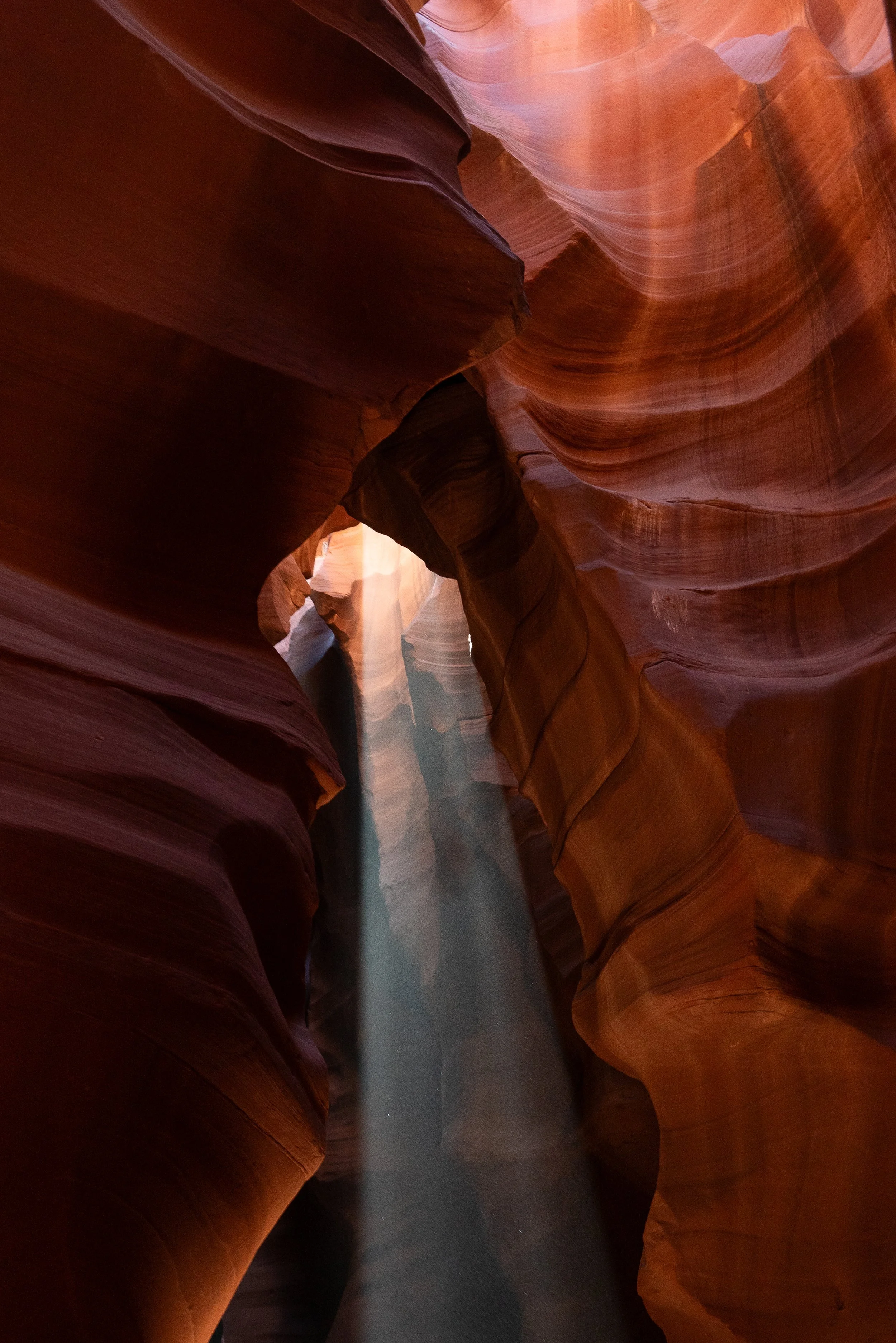 antelope2+ssp(1).jpg