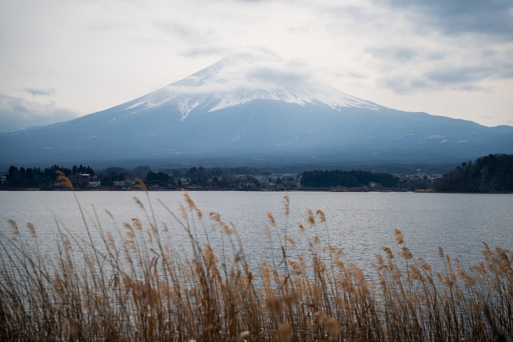 fuji+wide+ssp.jpg
