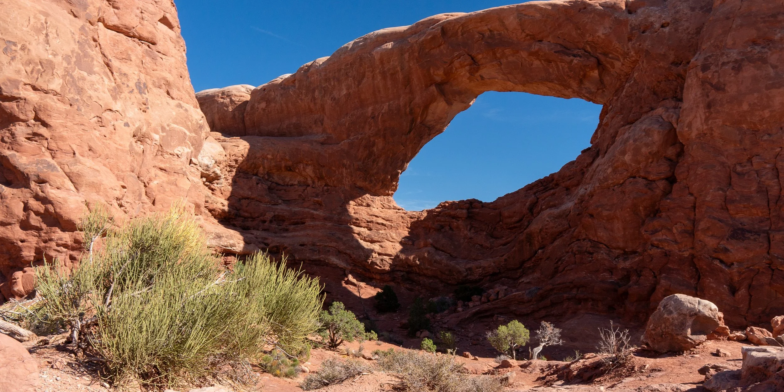 wide+arch+ssp.jpg