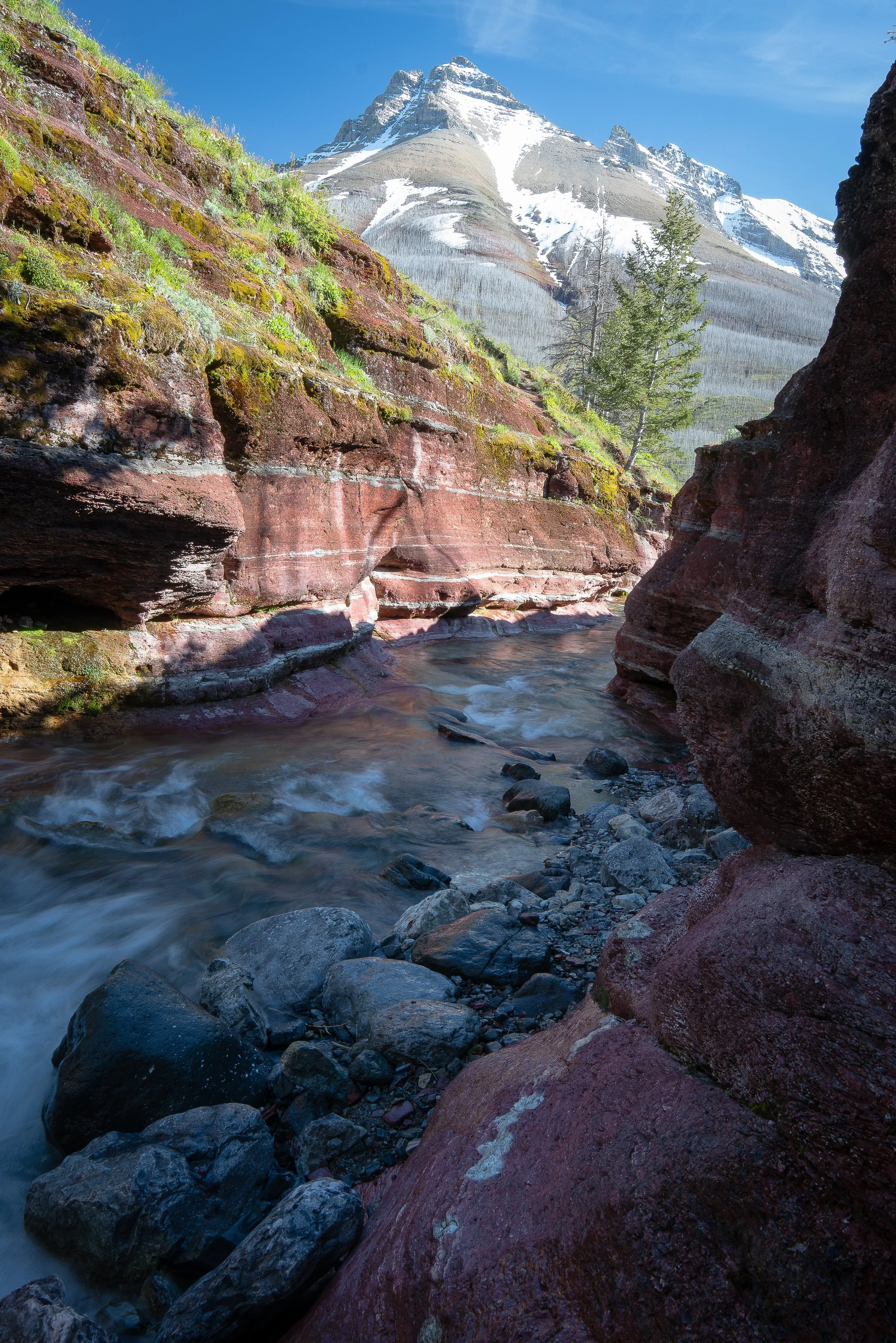 redrock2+ssp(1).jpg