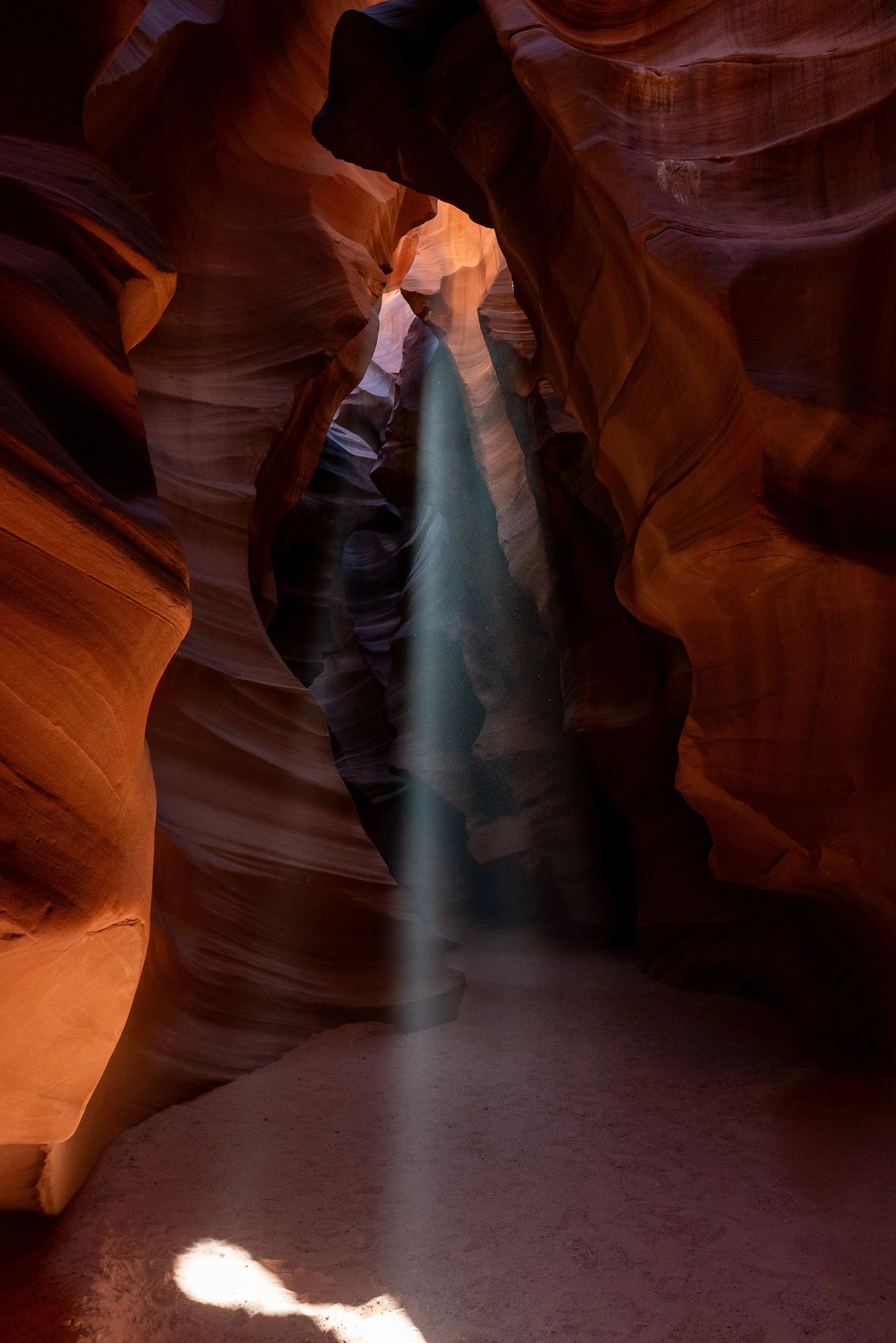 antelope3+ssp(1).jpg