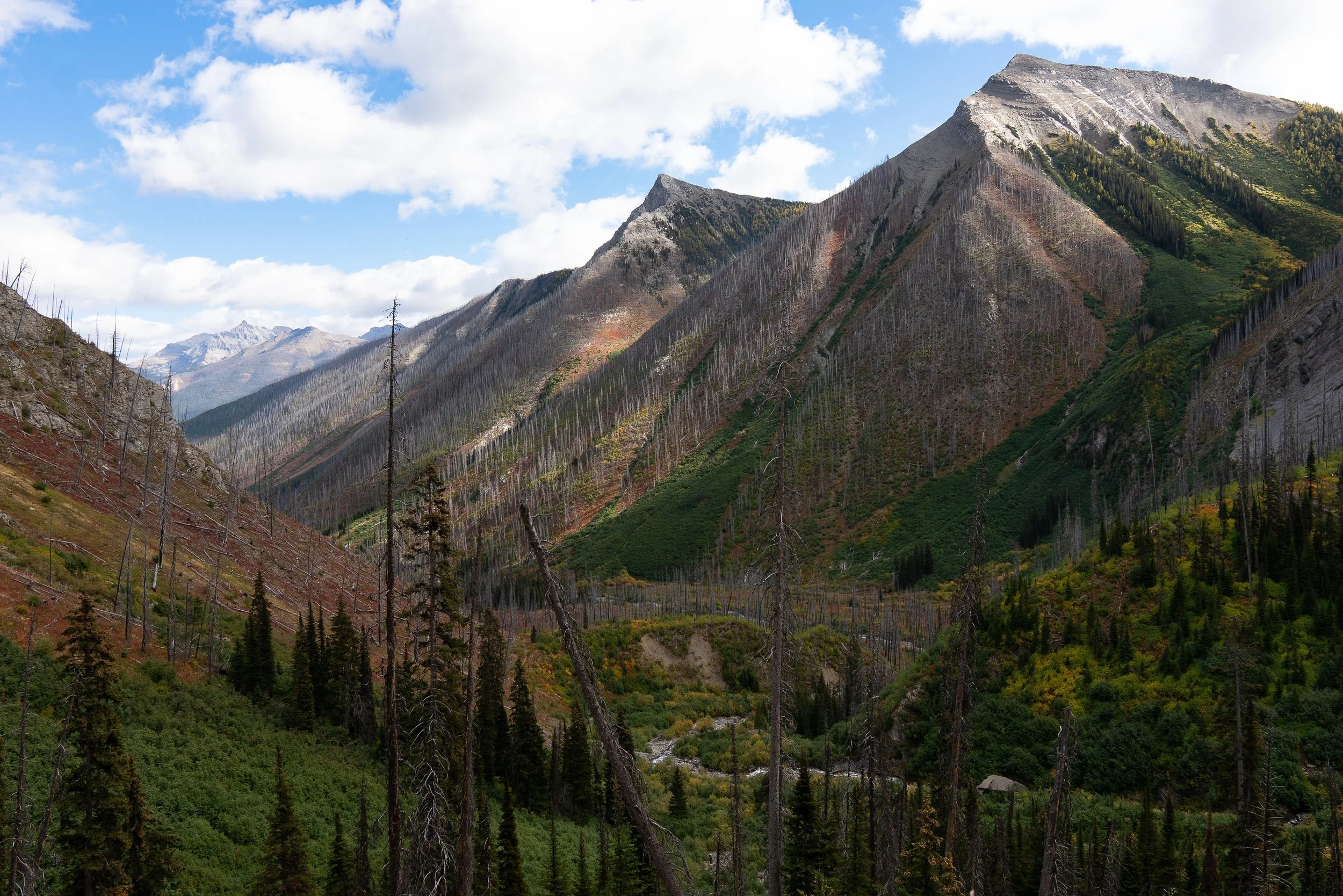 color+valley+ssp(1).jpg