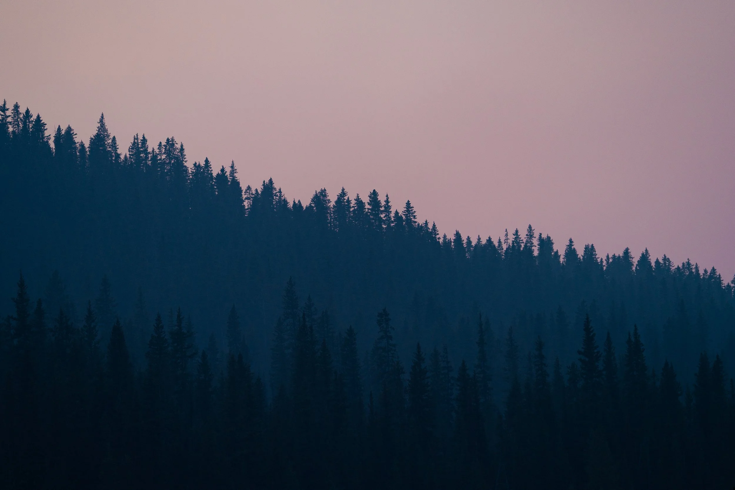 purple+smoke+Sspace(1).jpg
