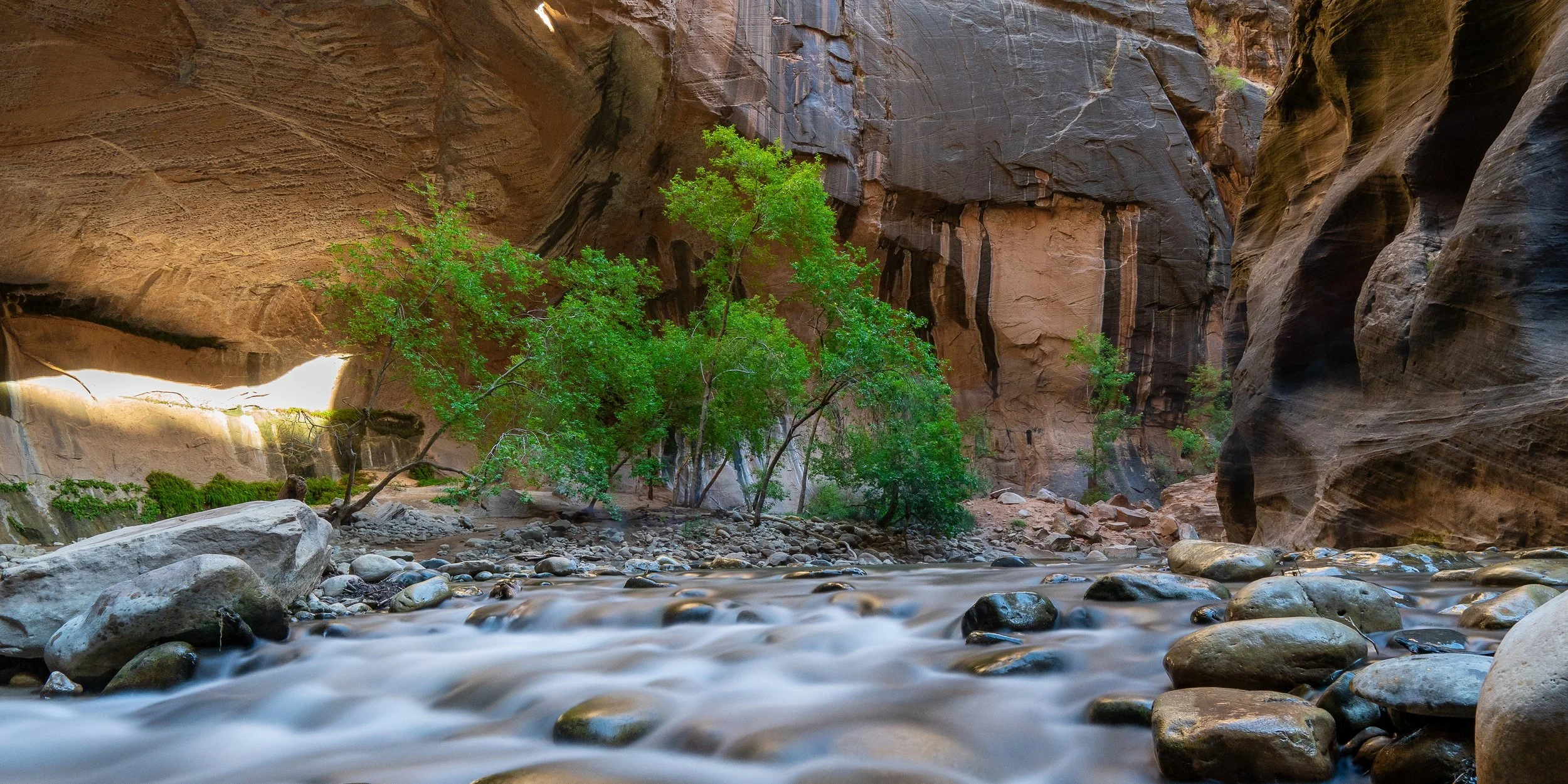 the+narrows+wide+ssp(1).jpg